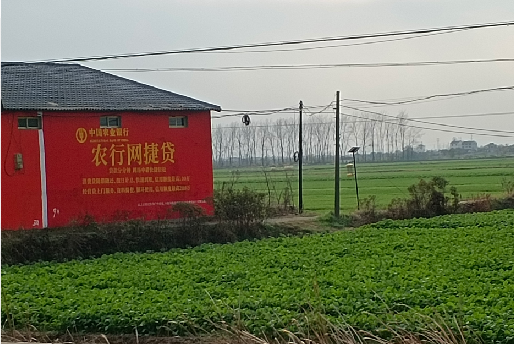 武定如何防止墙体广告褪色呢？