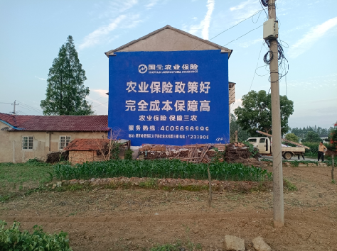 武定墙体广告的优劣势你知道吗？